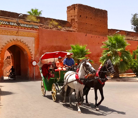 Activity Carriage Ride in all city From Marrakech