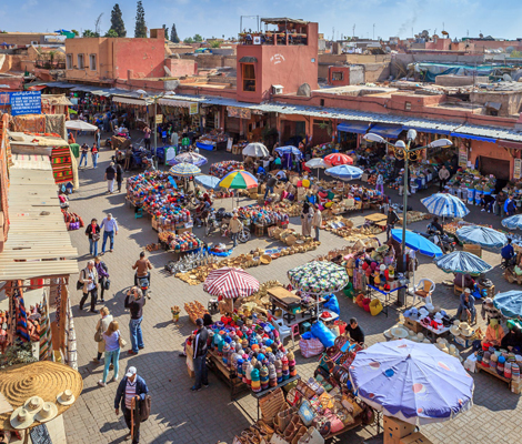 Activity Private Marrakech guided sightseeing tours in marrakech