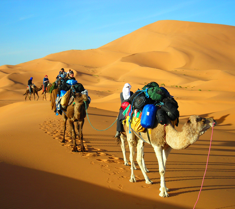 4 days tour from fes to Marrakech through Merzouga desert camel trek