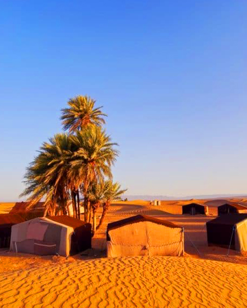 2 Days Desert Tour From Marrakech To Zagora and Camel Trek