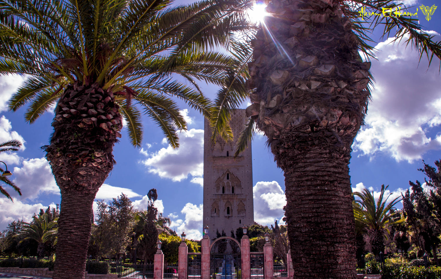 5-Day Morocco Tour from Rabat to Marrakech – Imperial Cities, Sahara 